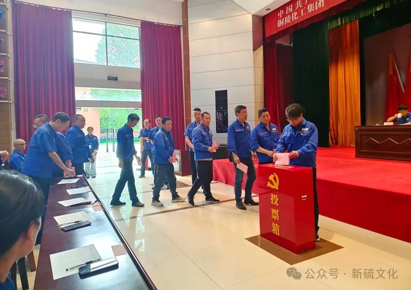 S36沙龙会 - 要玩就玩沙龙会 - 官方