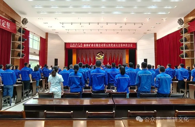 S36沙龙会 - 要玩就玩沙龙会 - 官方